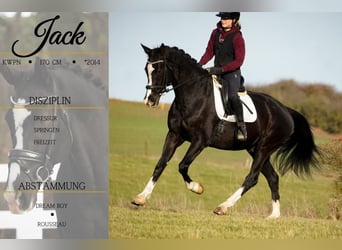 Jack