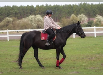 Lancy