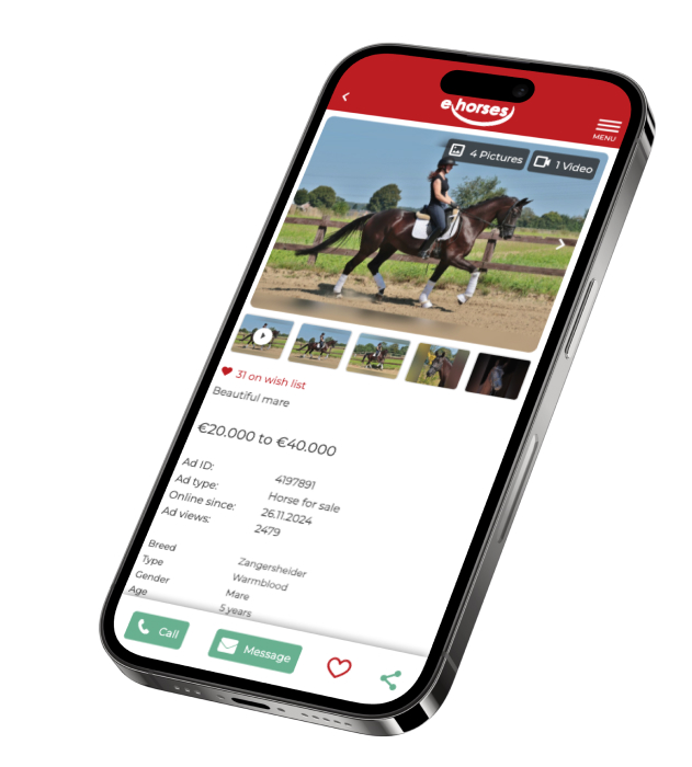 About ehorses